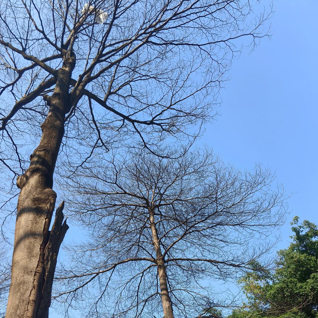 过坎