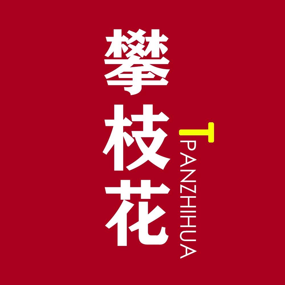 探攀枝花（玖宫格传媒）