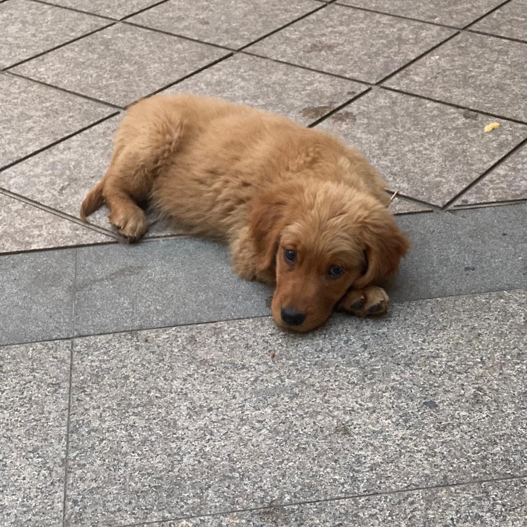 盛福利