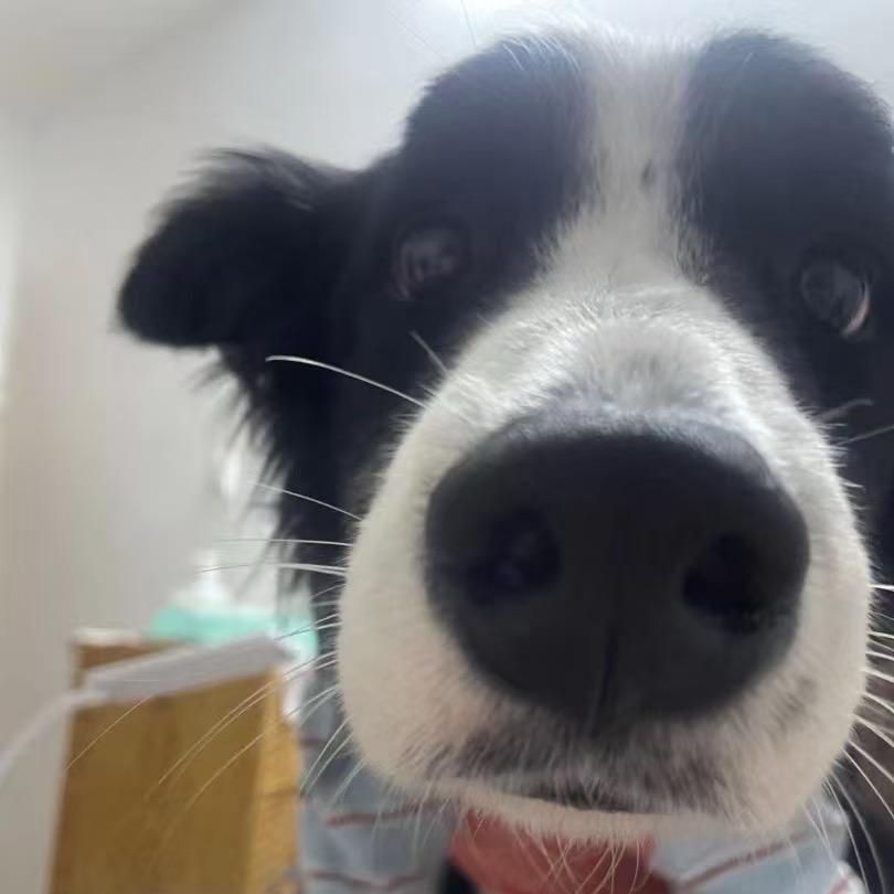 阿良（整蛊游戏大王