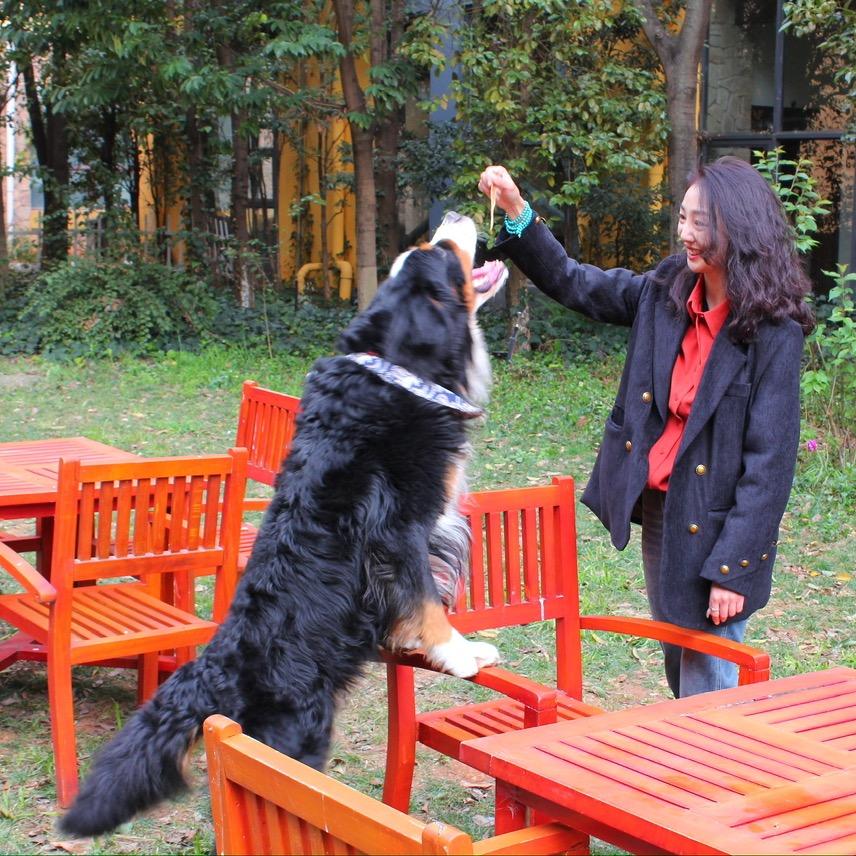 伯恩山（包子）