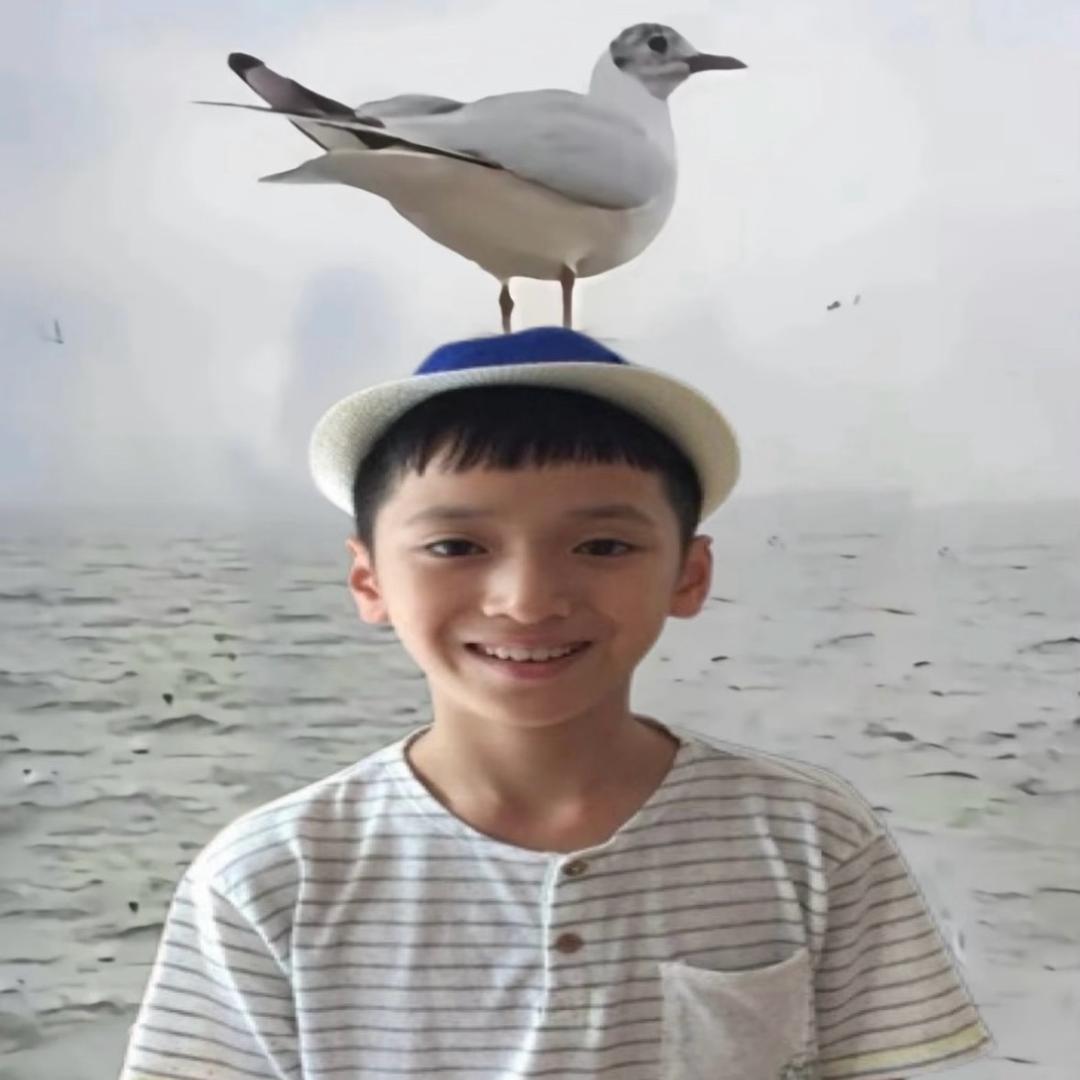 我不知道叫什么
