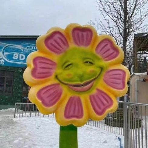 浮生树