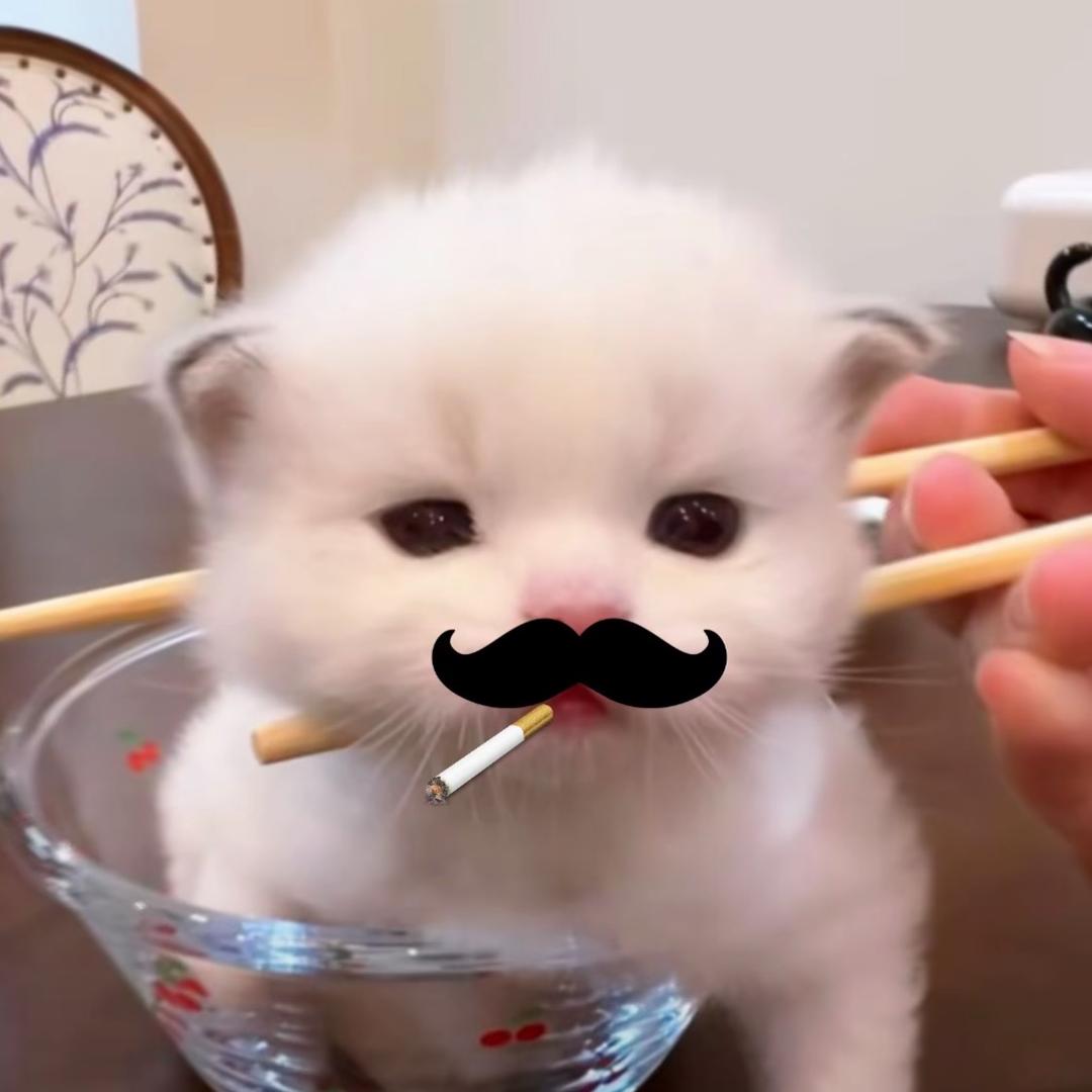 大清第一比巴卜