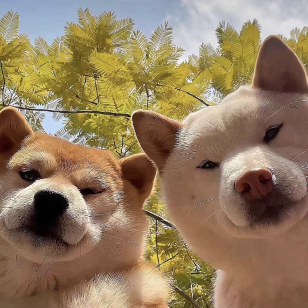 湖北目的地旅行社