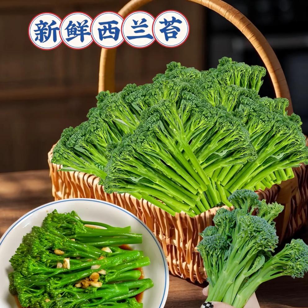 种子厂家