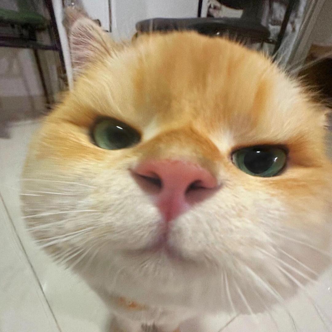 小啵