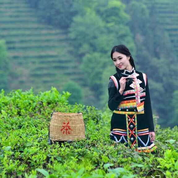 阜阳，一壶春茶莊，小沙