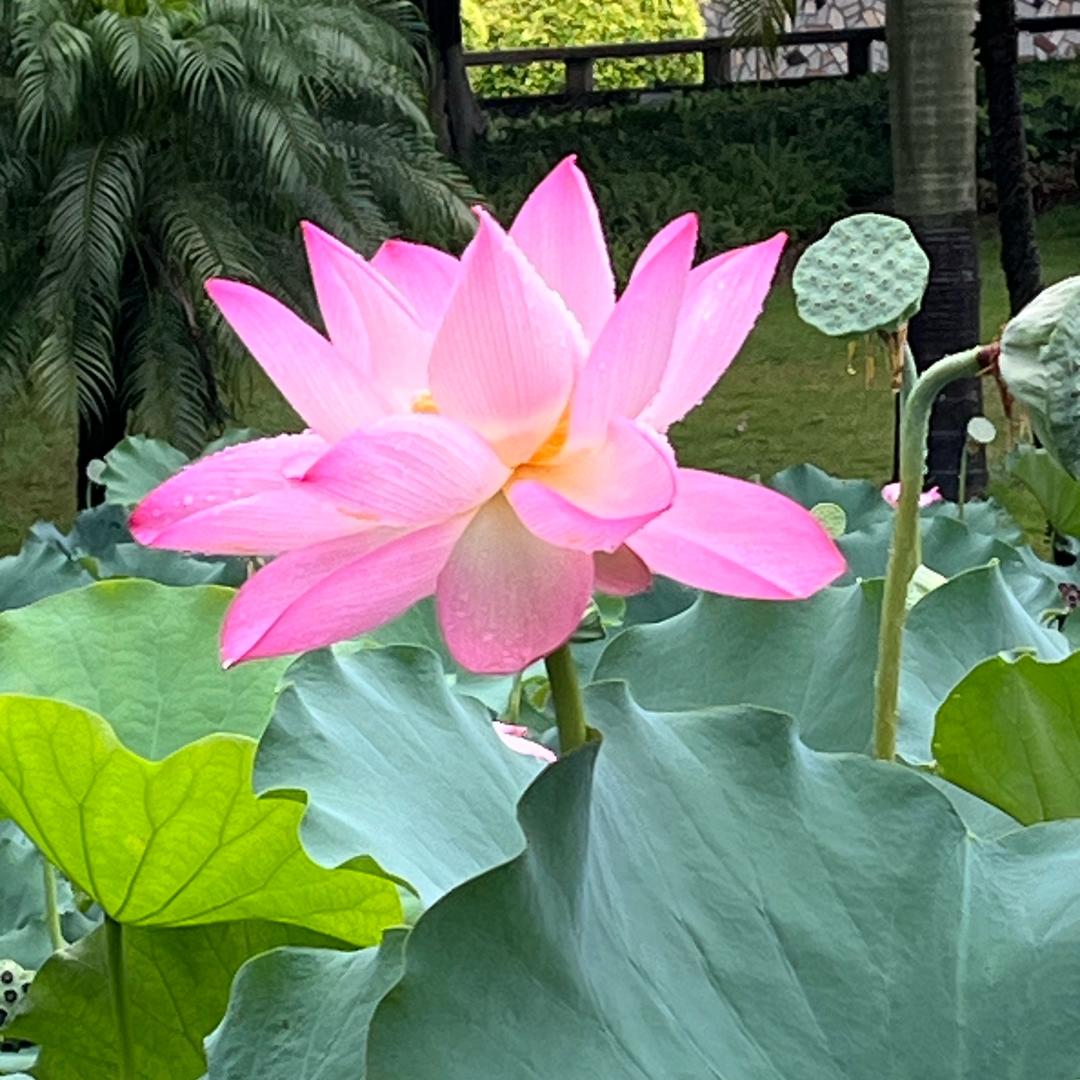 开心每一天