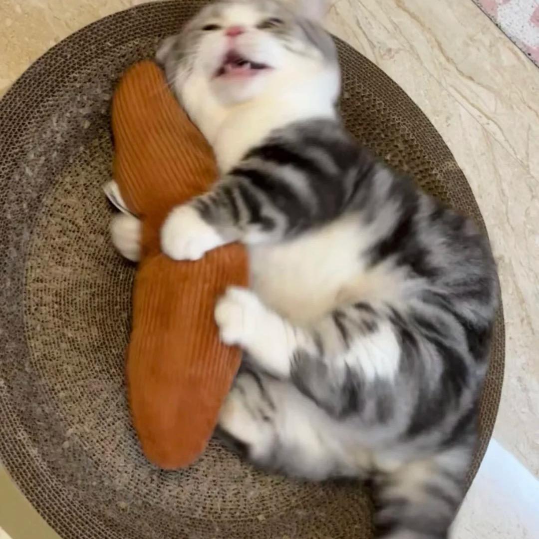 薏仁做事薏仁汤