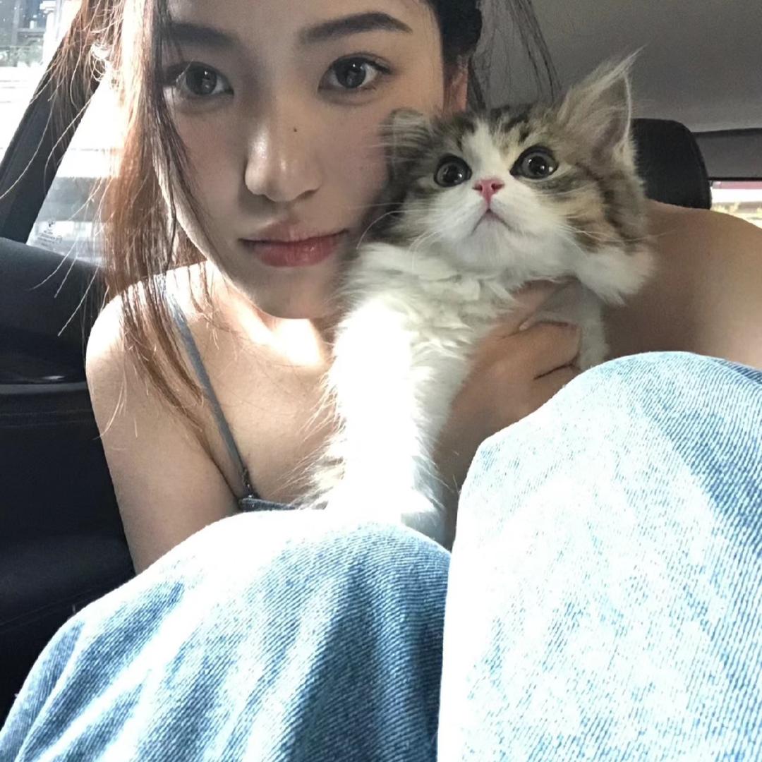 欣欣子˃ʍ˂