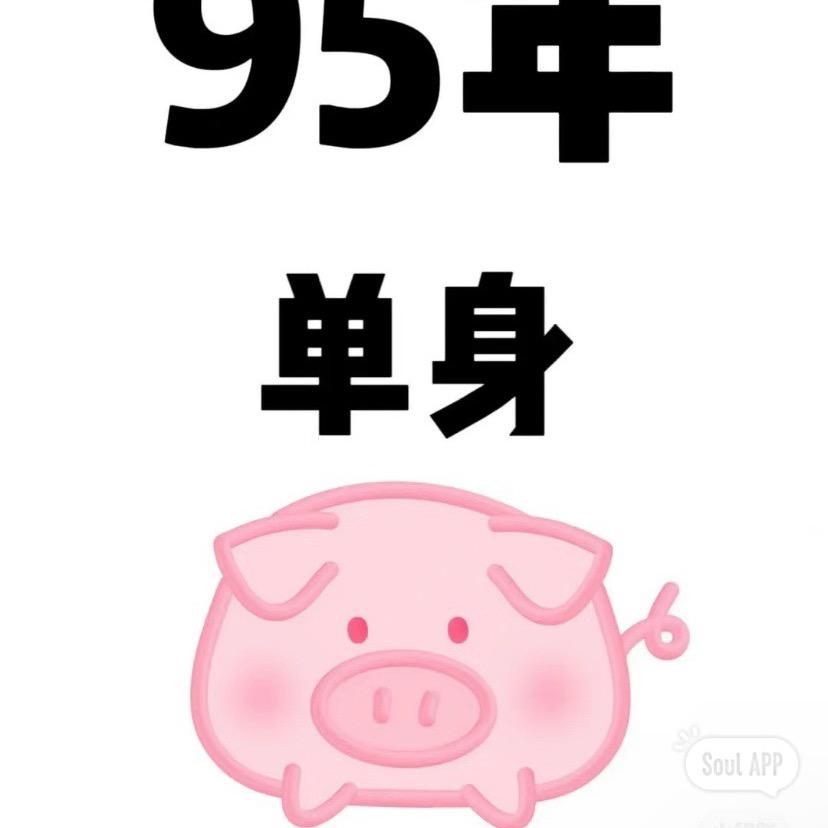 Mr：刘先生 开皮专业户