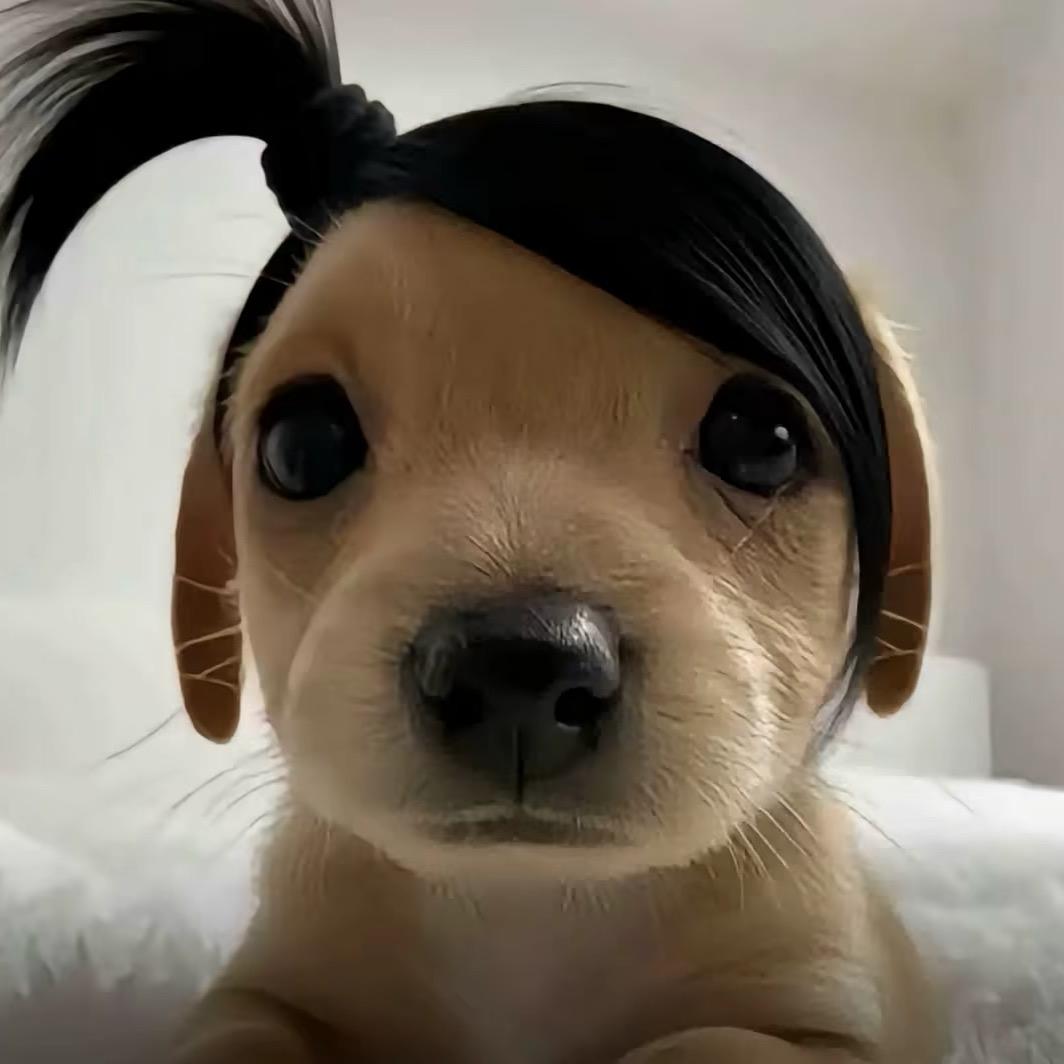 ^虾米^