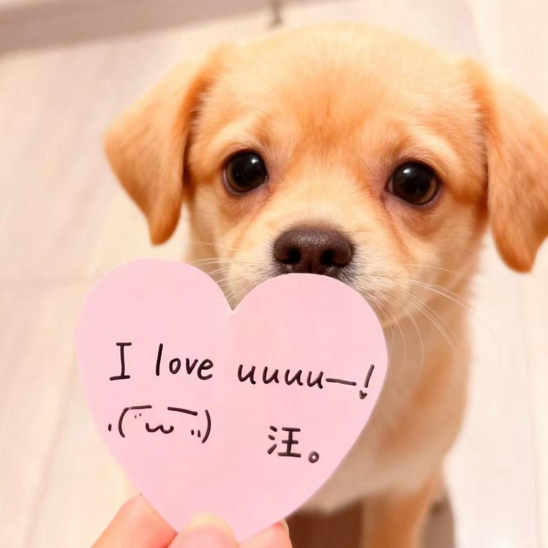 虍