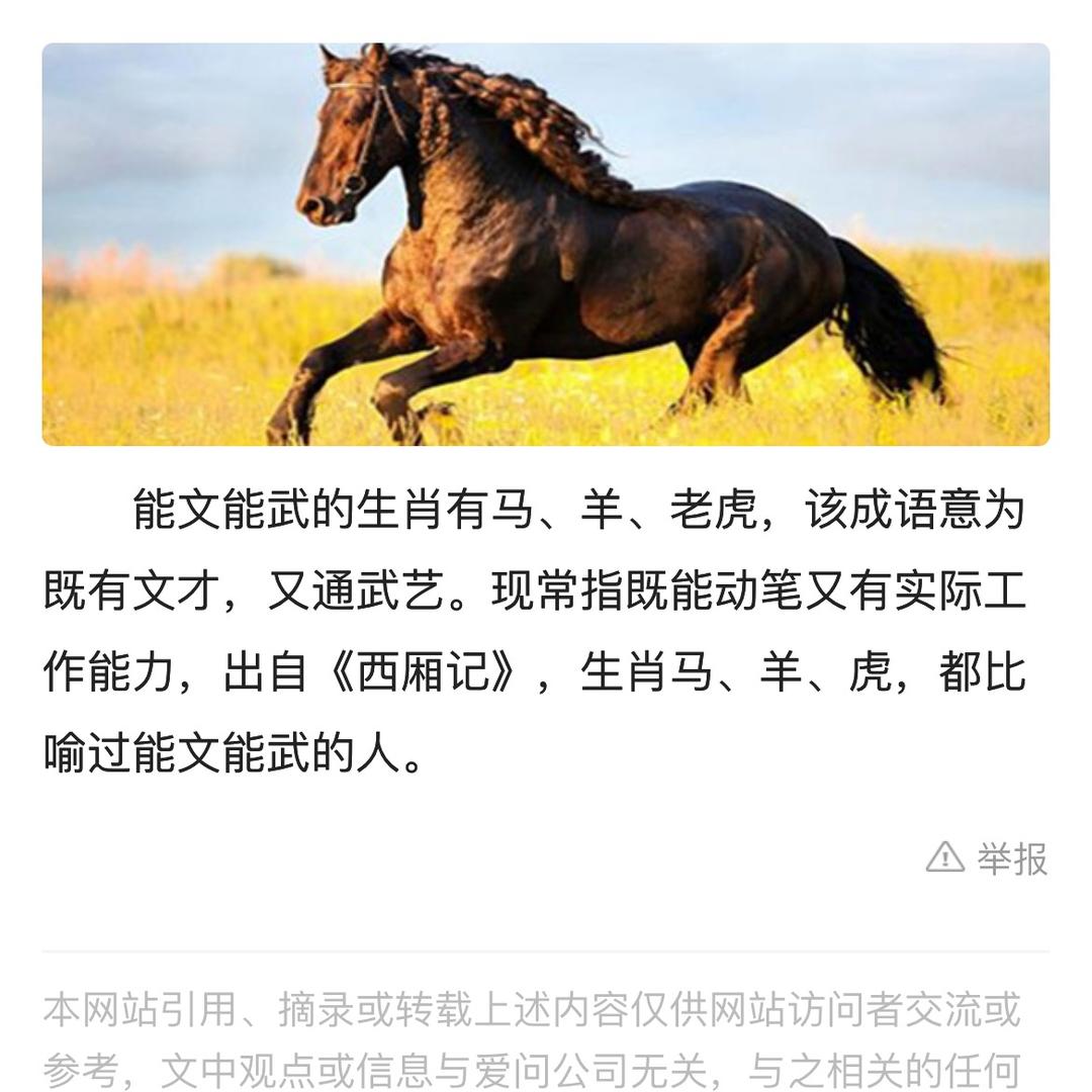 就是我