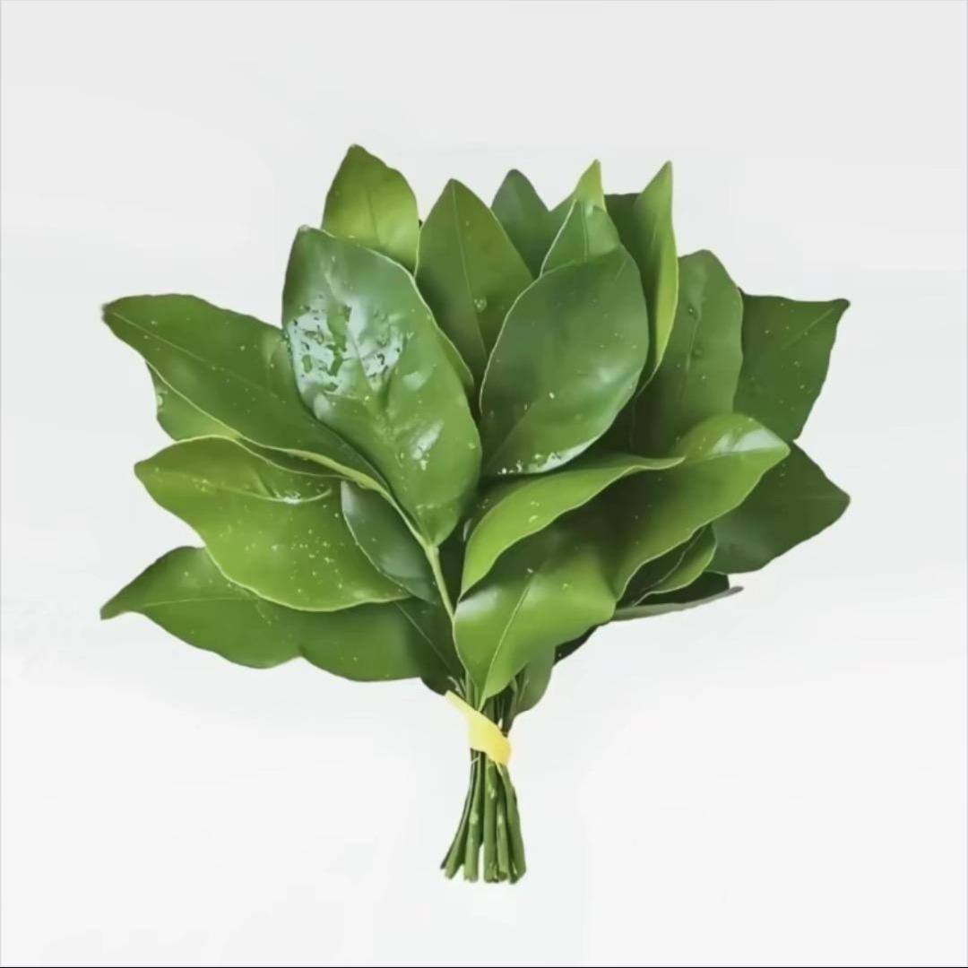 采姑娘的小蘑菇