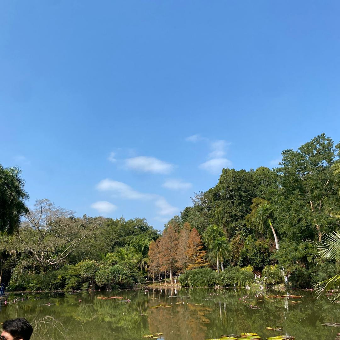 社恐不参团