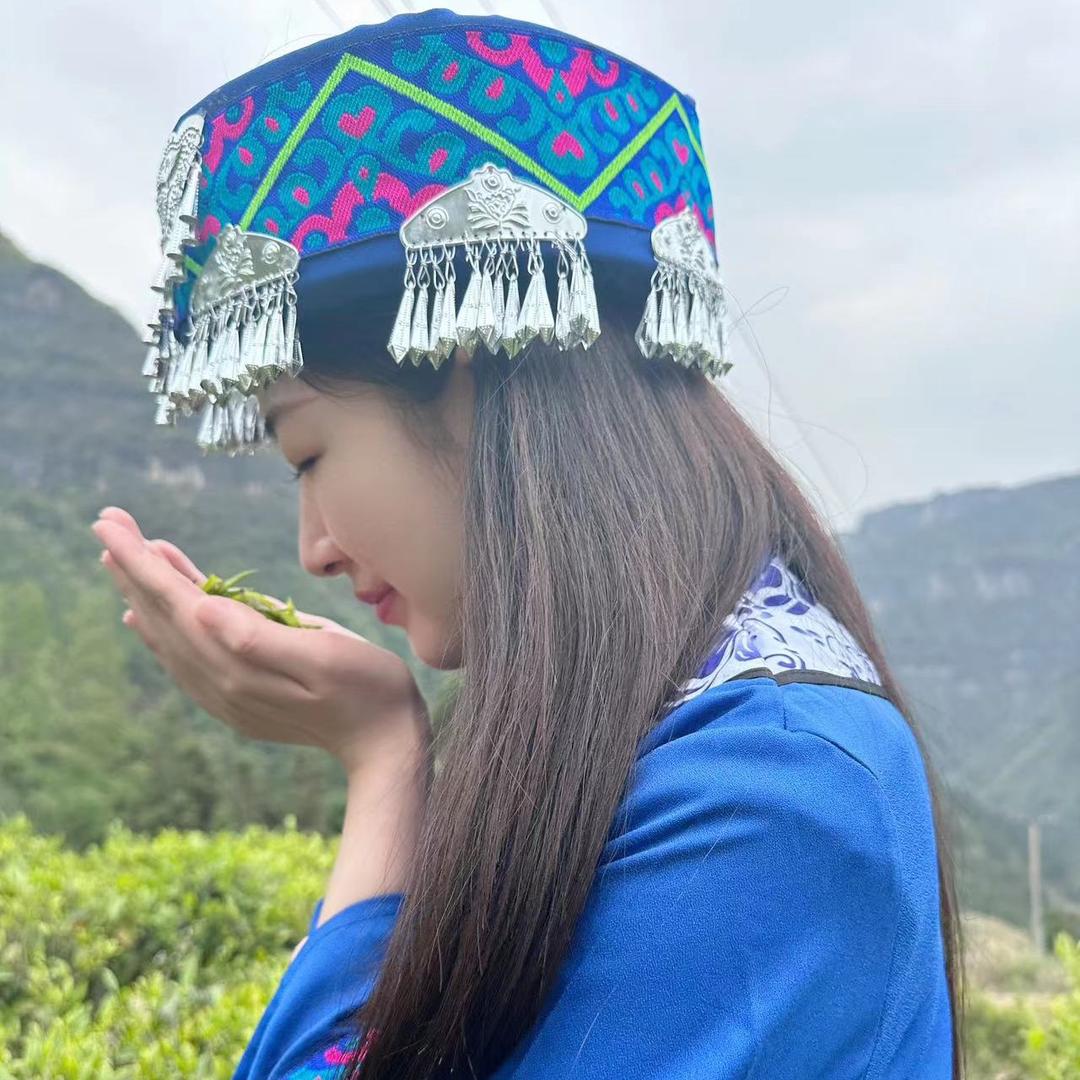 保靖历农黄金茶