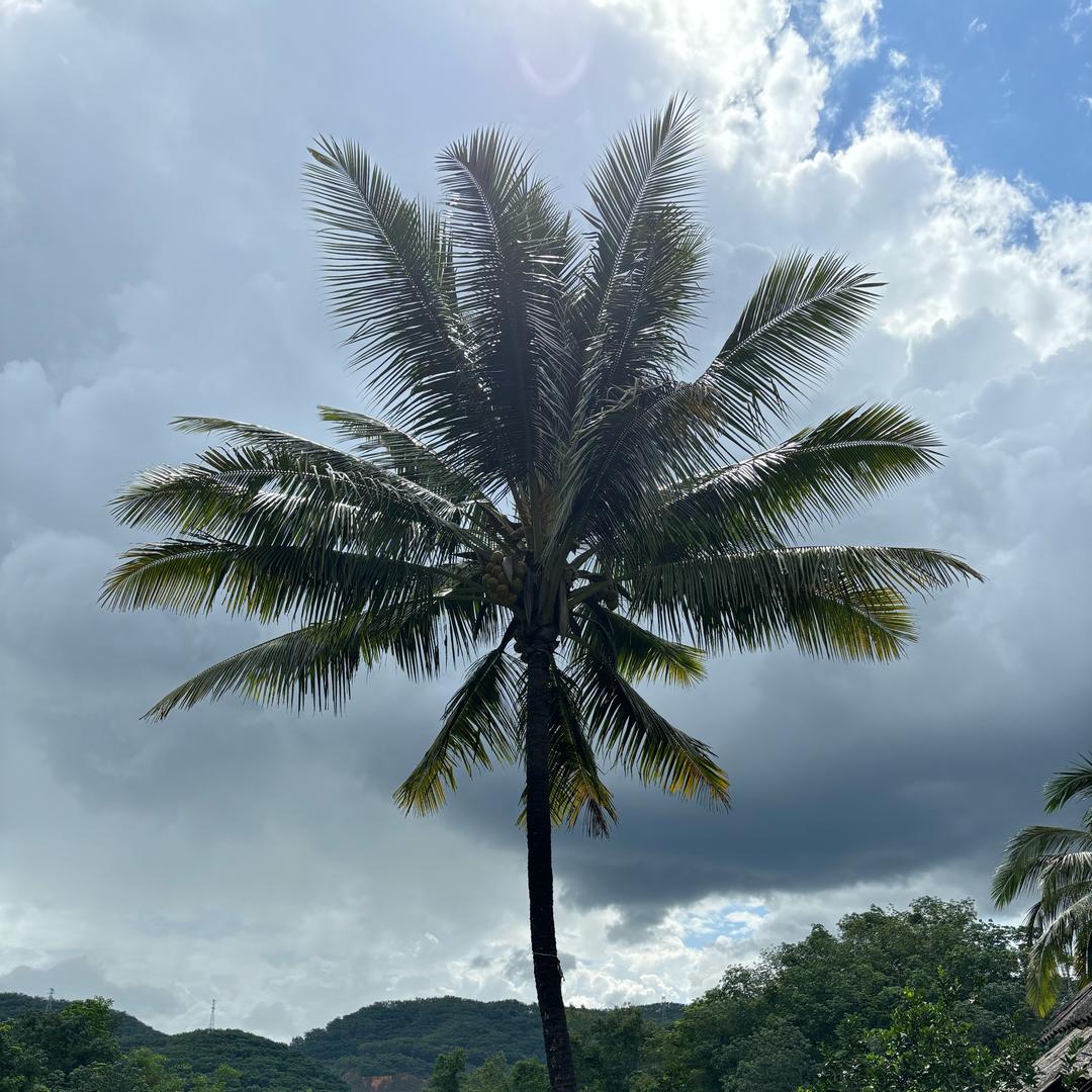 随财的旅行