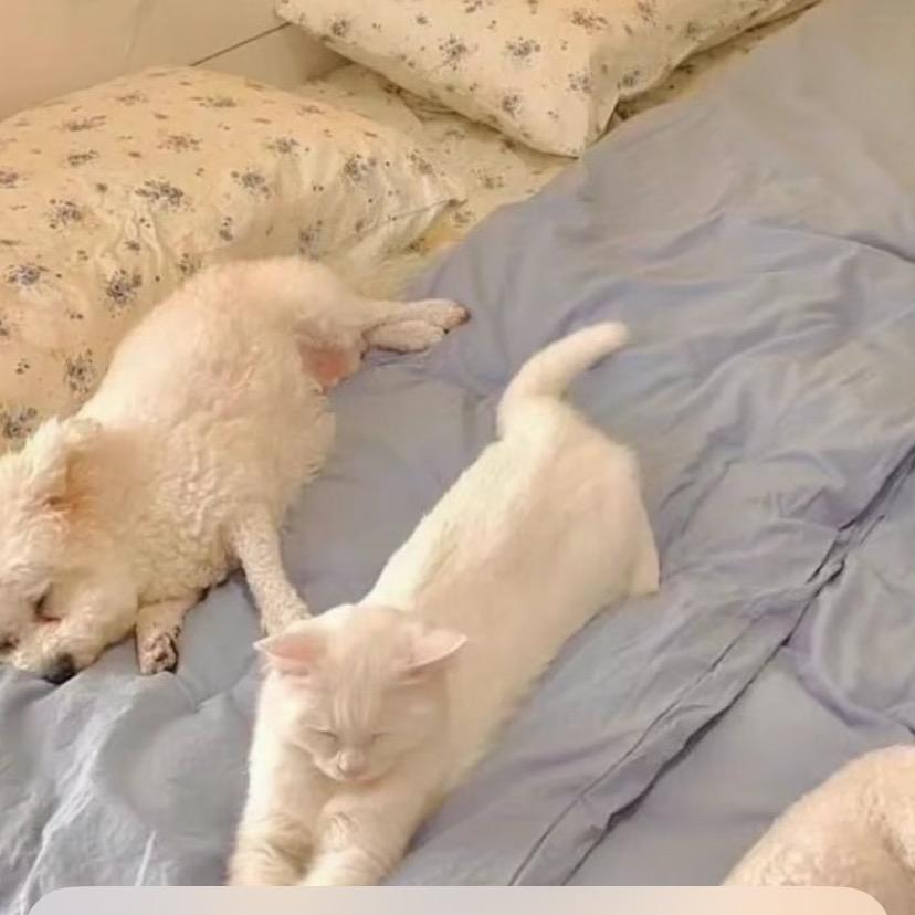 🌈🦄？？？？？