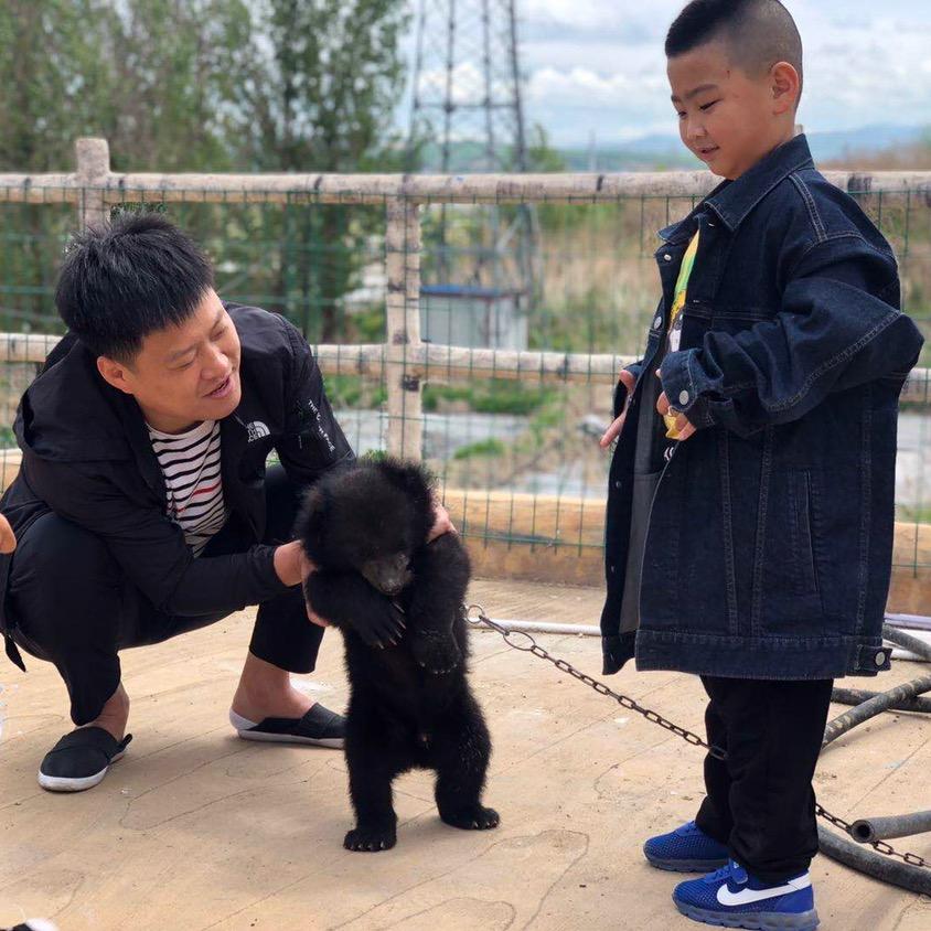 班少爷