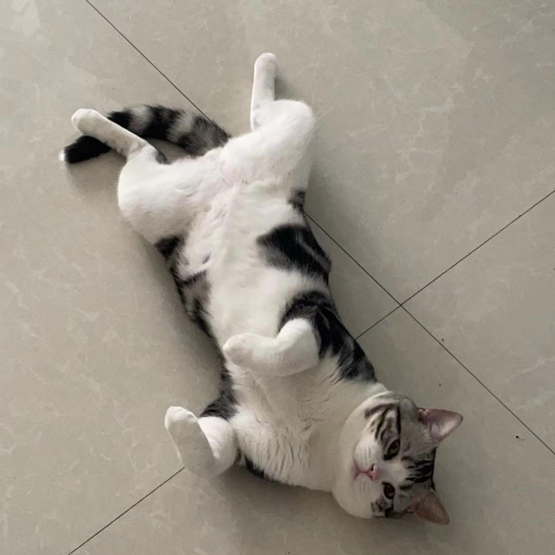 天天开心😃