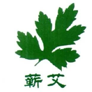 一颗小艾草（孙）