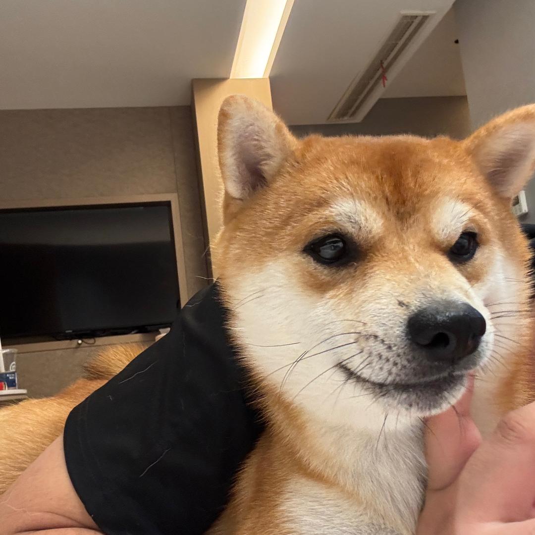 闪电和他的朋友