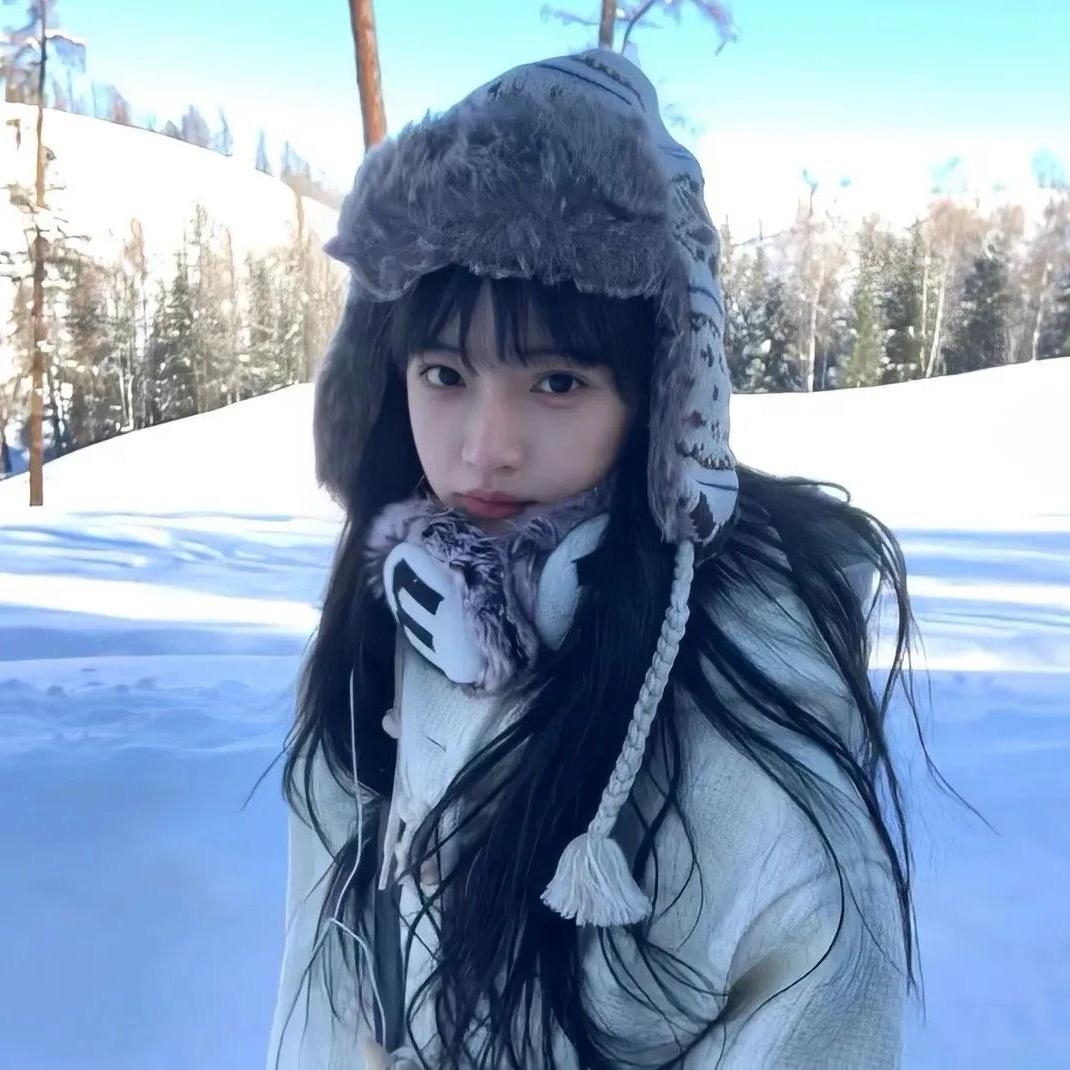 糖渍李子