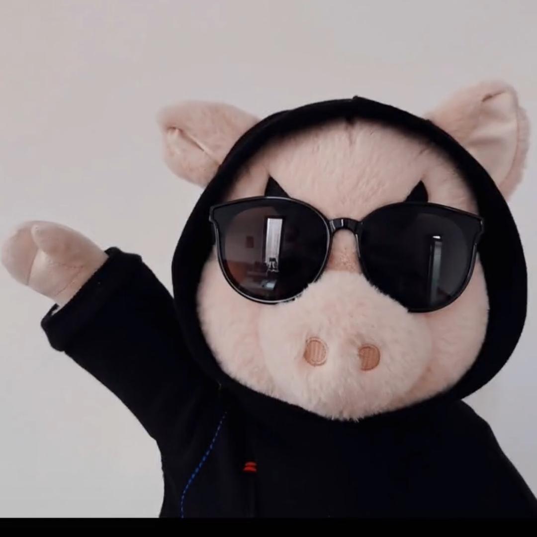 互联网大野猪🐗