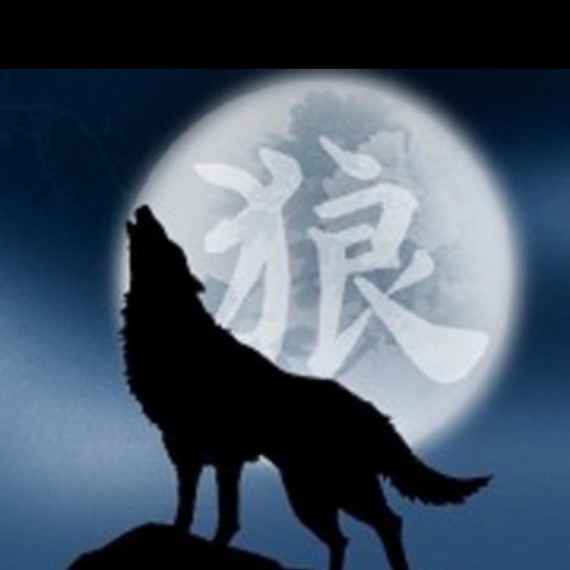 寒月孤狼