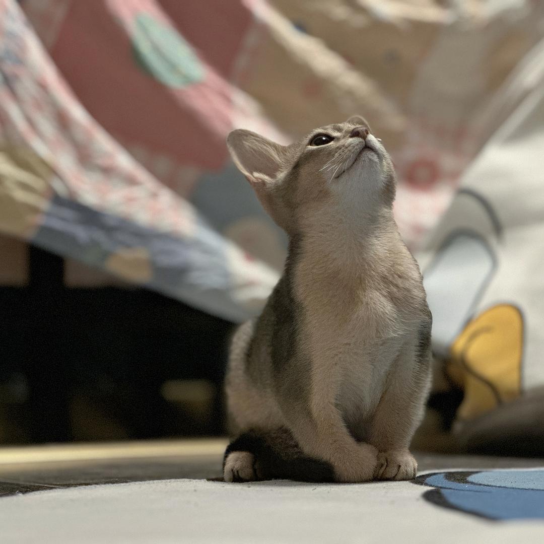 Jaime来了