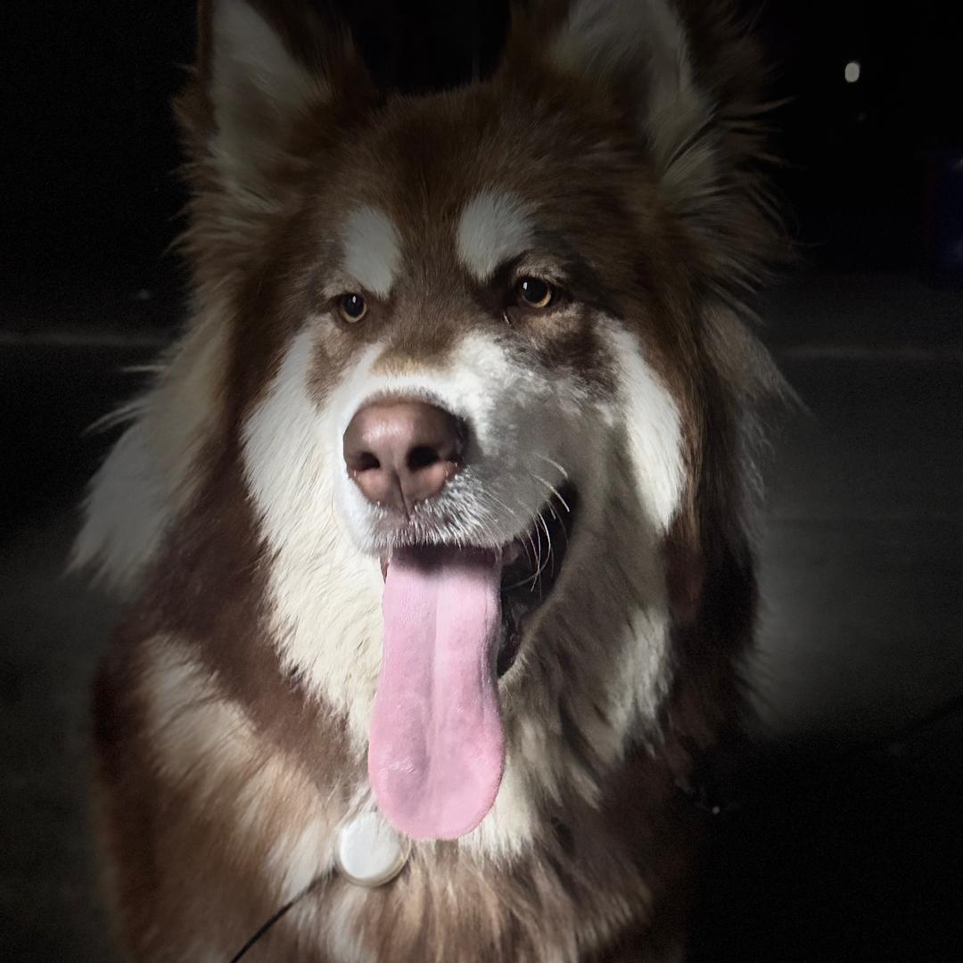 无人问津的港口总是开满鲜花