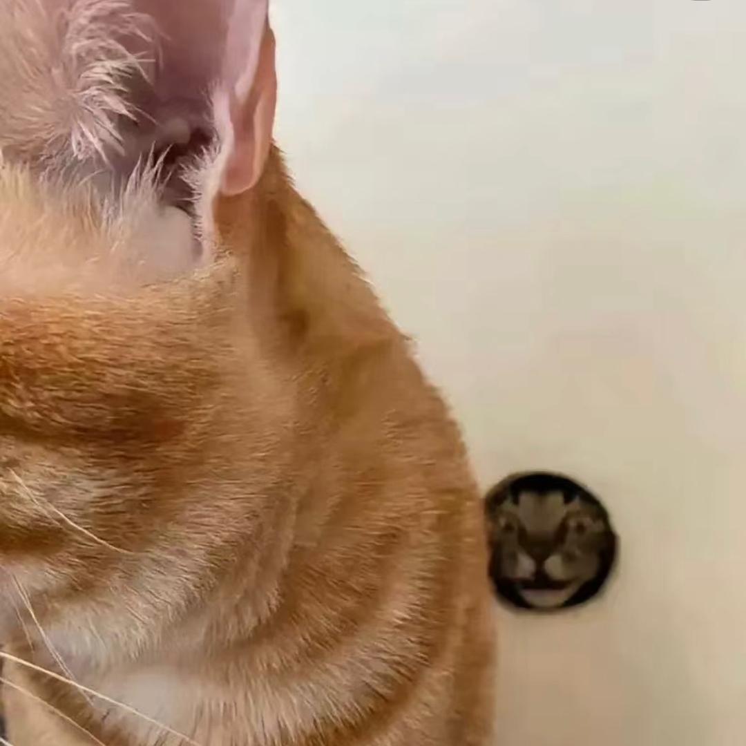0.y