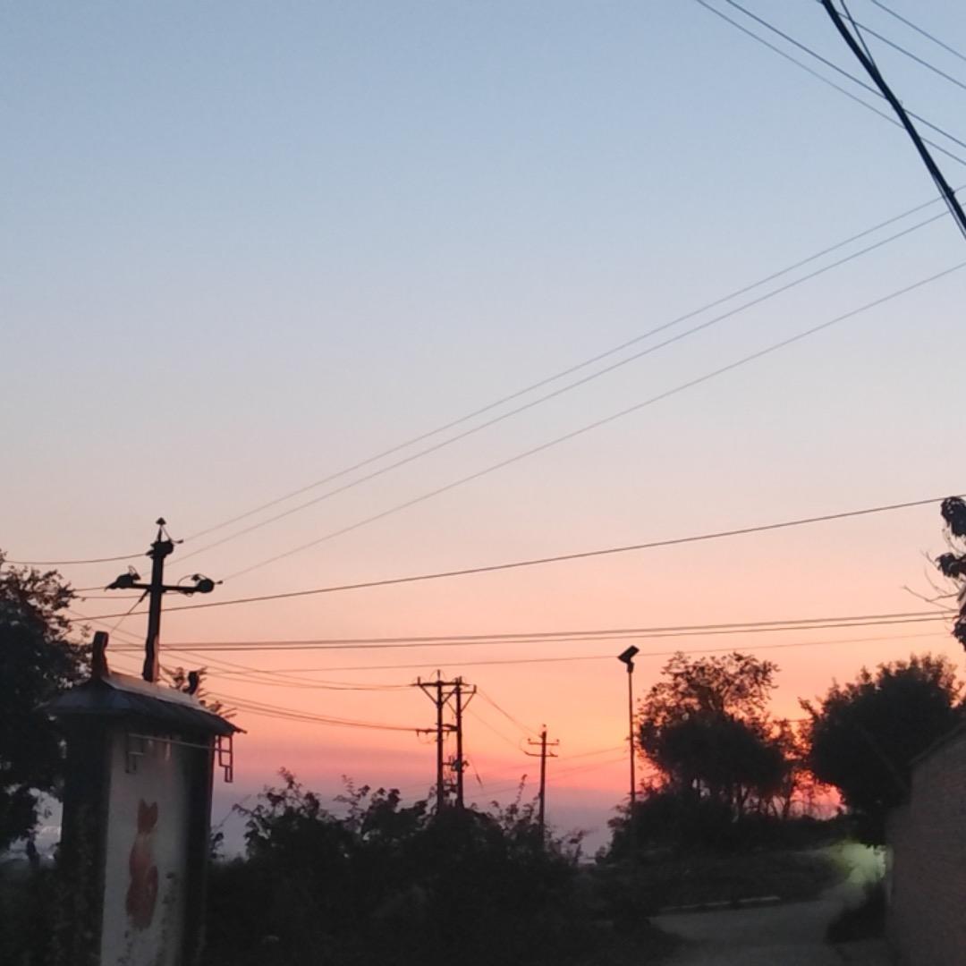 🐾𝓒𝓦𝓓ʚɞ𝓩𝓗𝓺🐾