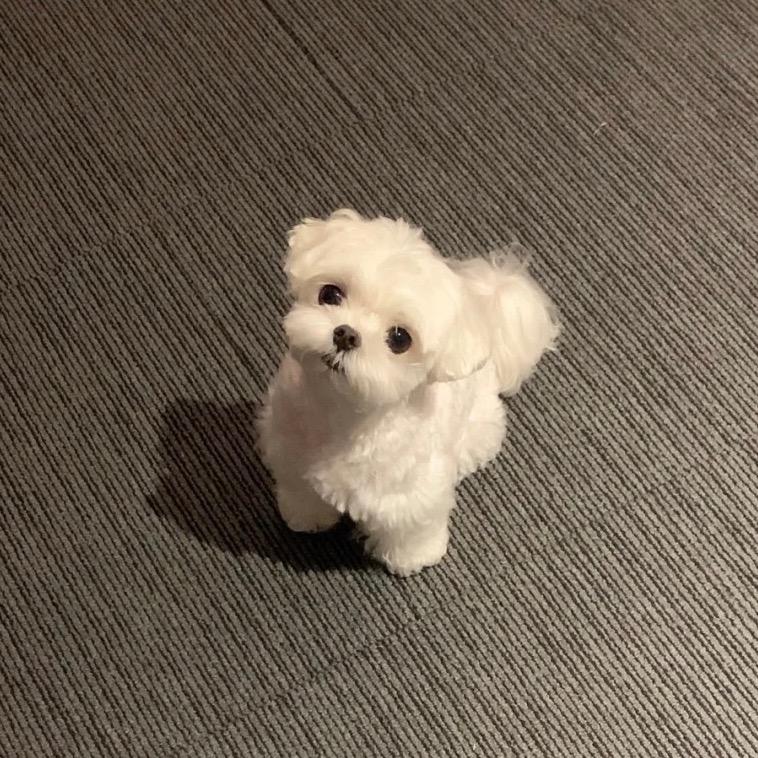 好情绪