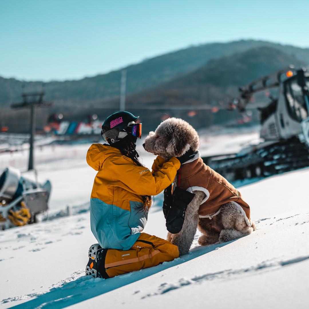 马赫不会滑雪🏂