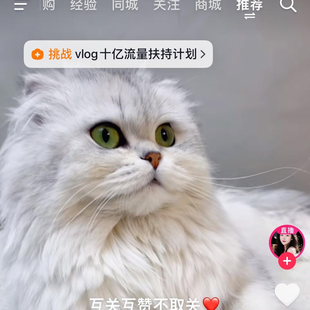 豪杰
