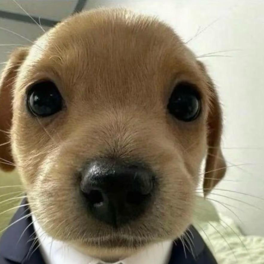 小陈（三角洲）