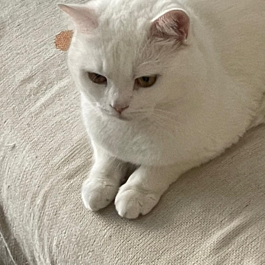 哇哇哇哇哇哇哇