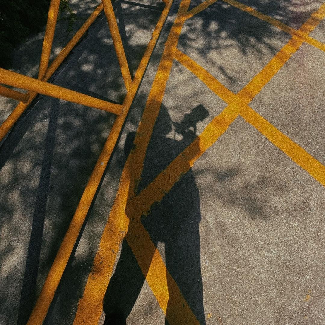 会飞的哈苏
