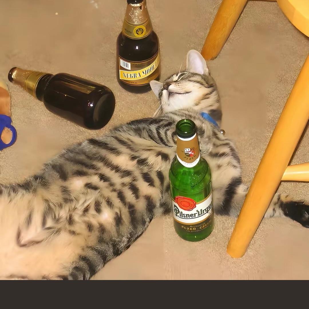 汤姆
