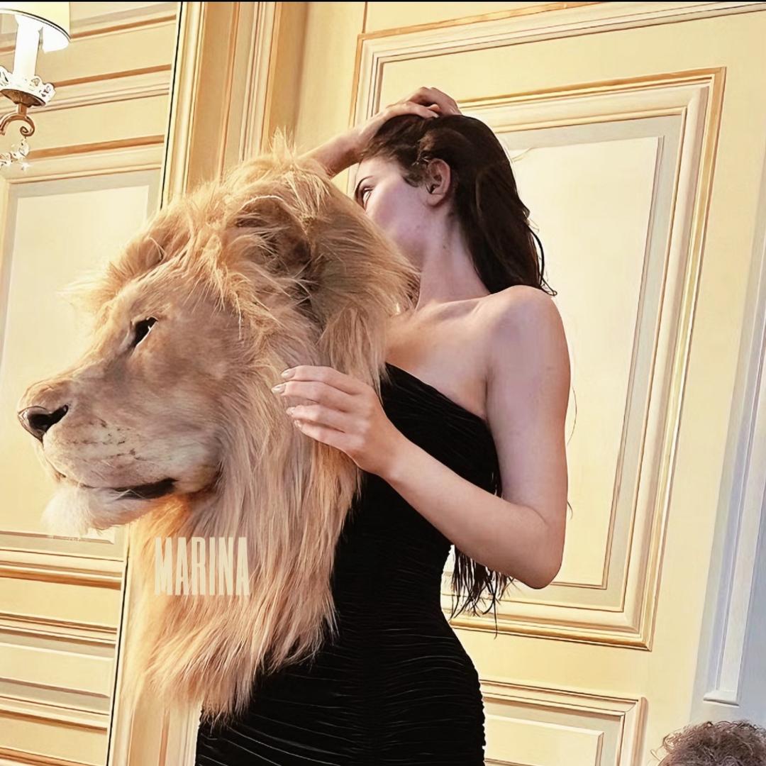 耗喜欢泥              🪳