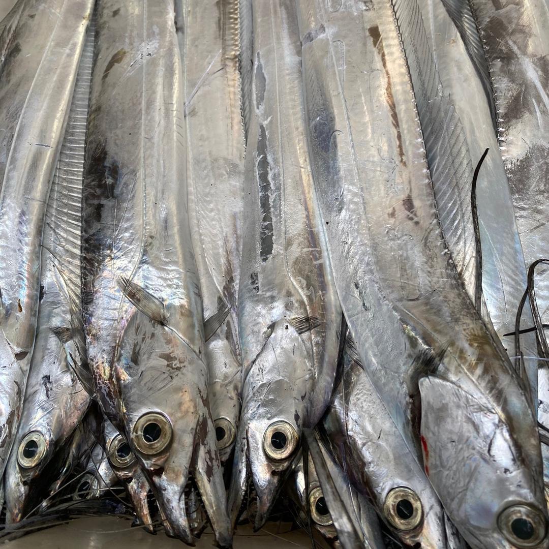 鲜味海选