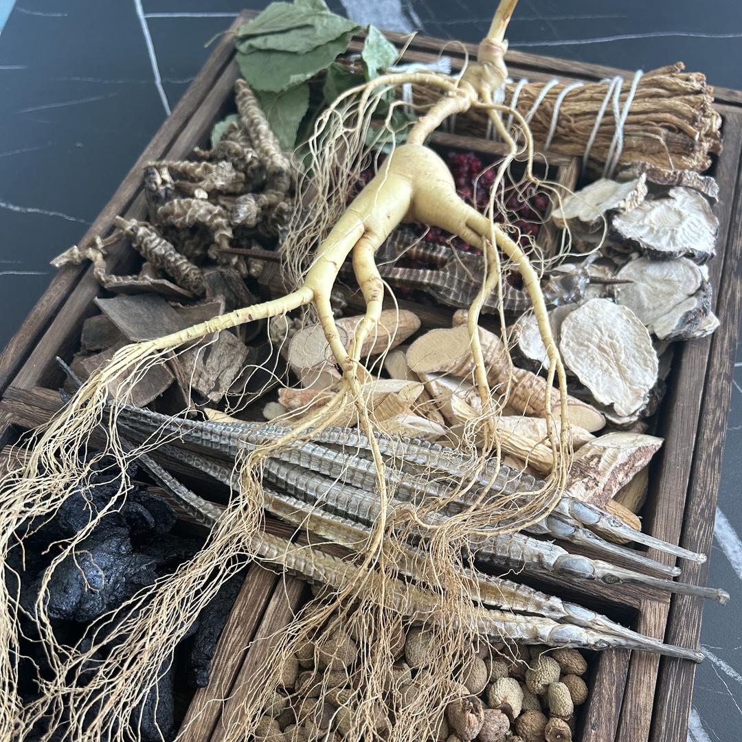 长白本草参茸滋补严选店