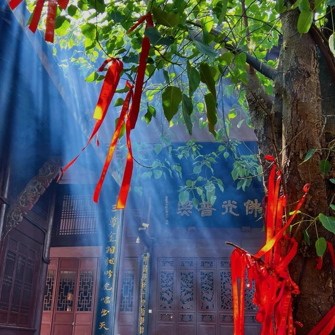 五台山义工小琪