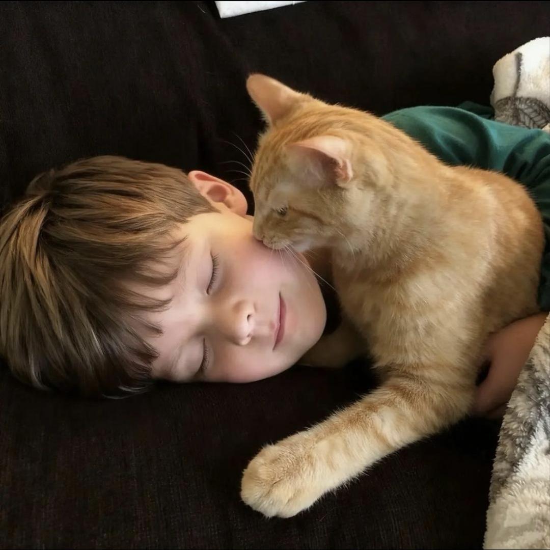 一根开心的猫毛