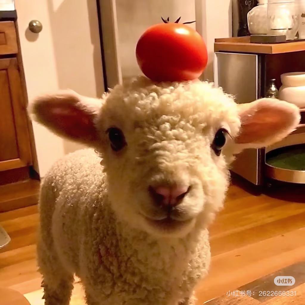 我也没说不服阿