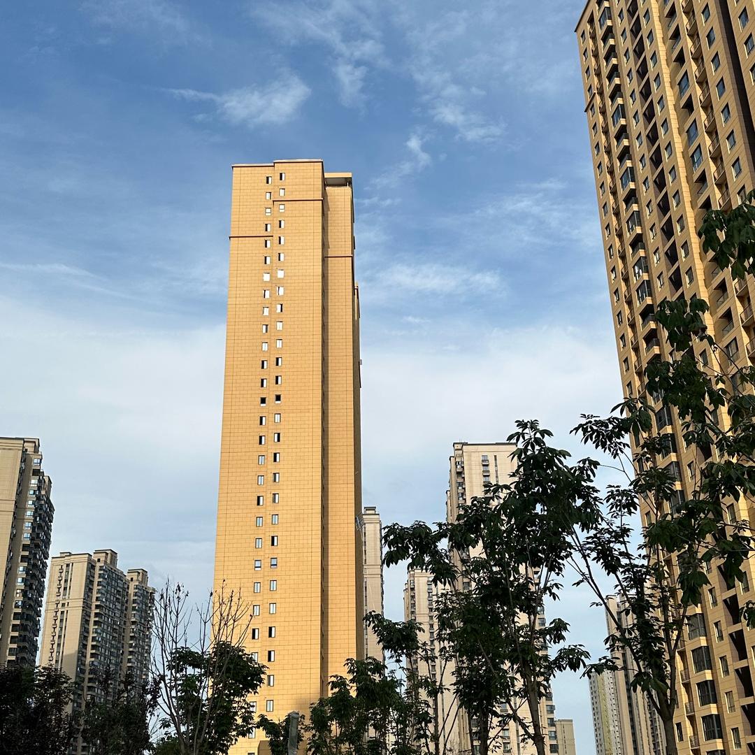 穷养儿子（果冻）