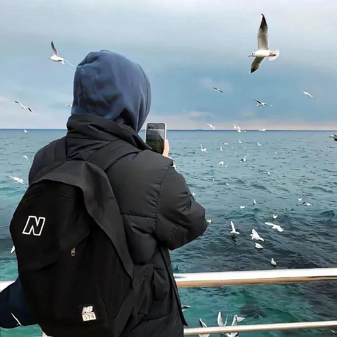 唐十七　　　　　        🪳